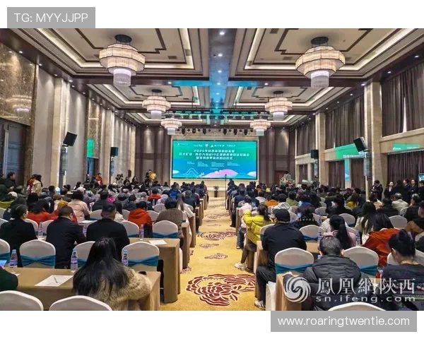 全面解析U体育登录流程及常见问题解决方案助你轻松登录畅玩体育赛事