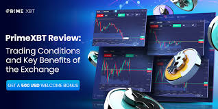 Experience the Thrill of PrimeXBT Live Trading Experience the Thrill of PrimeXBT Live Trading